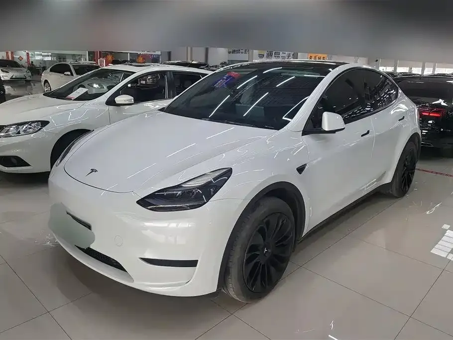 Tesla Model Y — фото 1