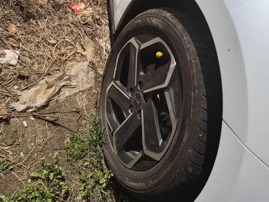 BYD Seal 06 — фото 10