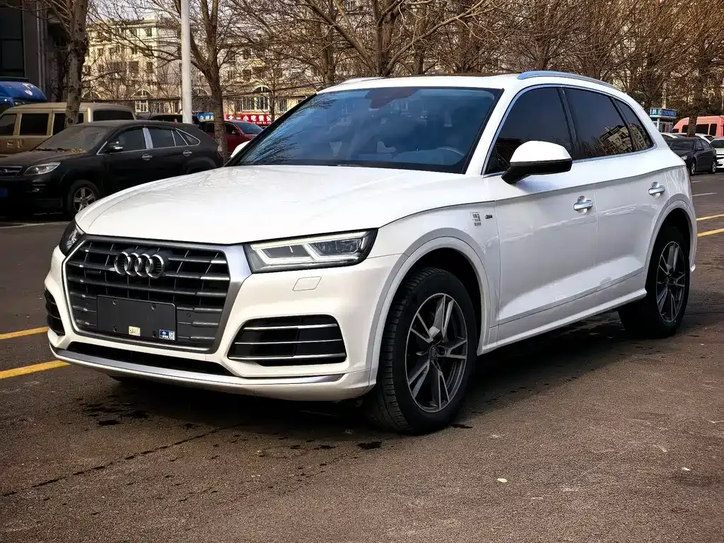 Audi Q5L 2021 из CN, фото 1