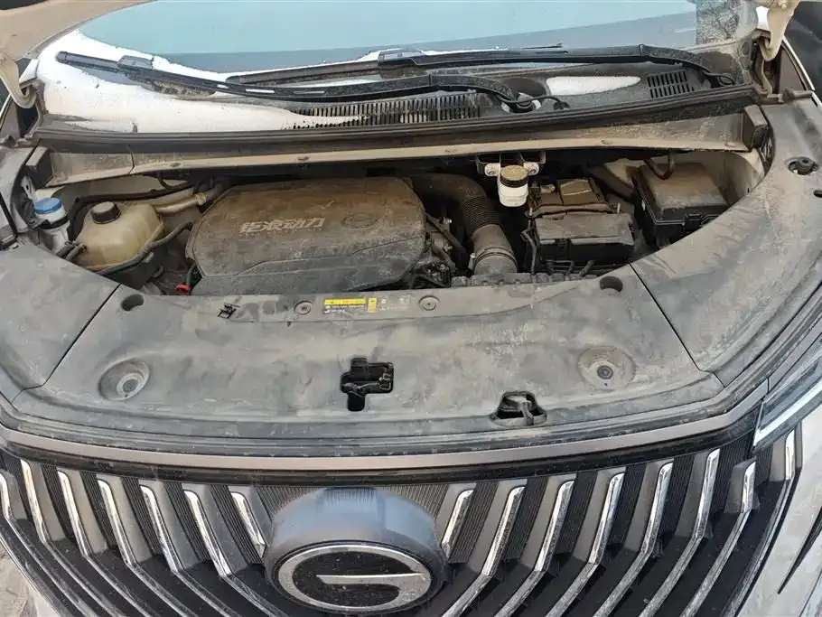 GAC Motor Trumpchi M8 2023 из CN, фото 5
