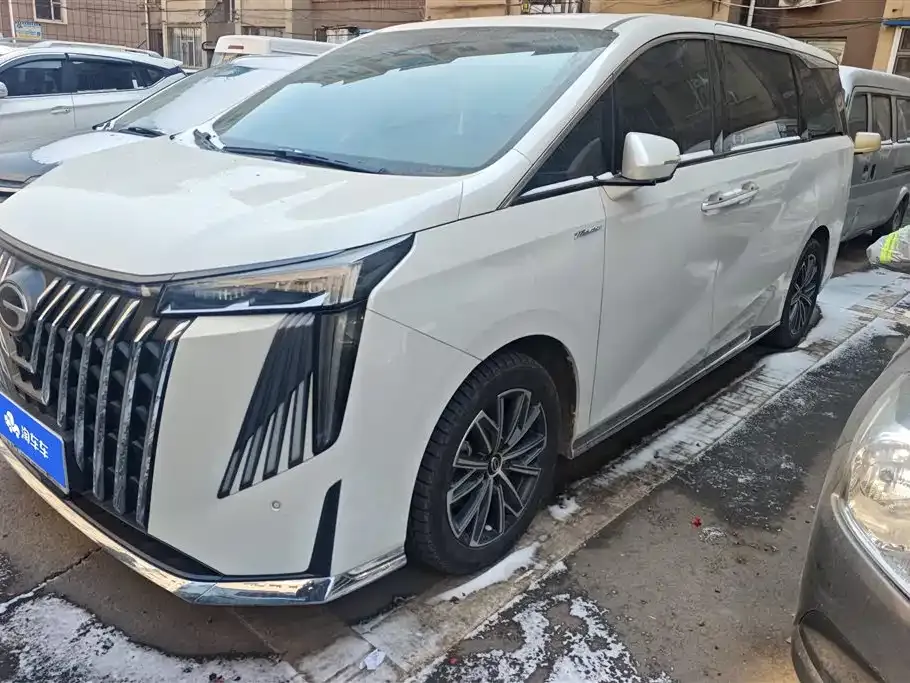 GAC Motor Trumpchi M8 2023 из CN, фото 6
