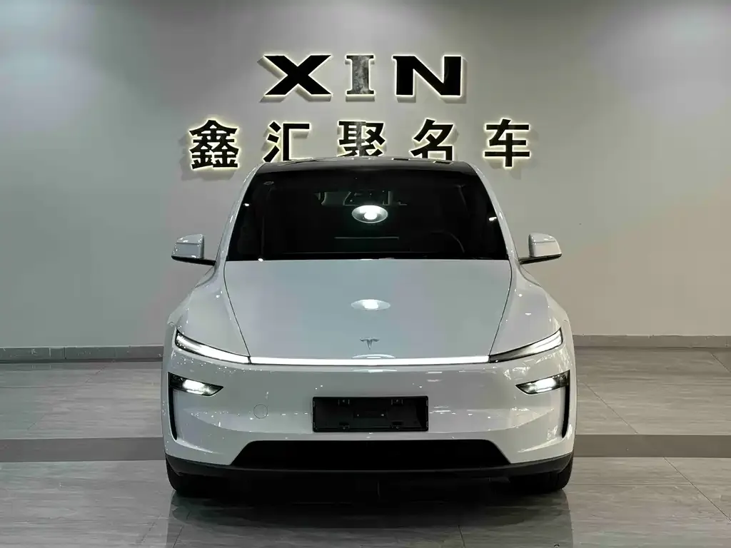 Tesla Model Y — фото 2
