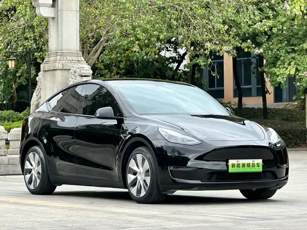 Tesla Model Y — фото 10