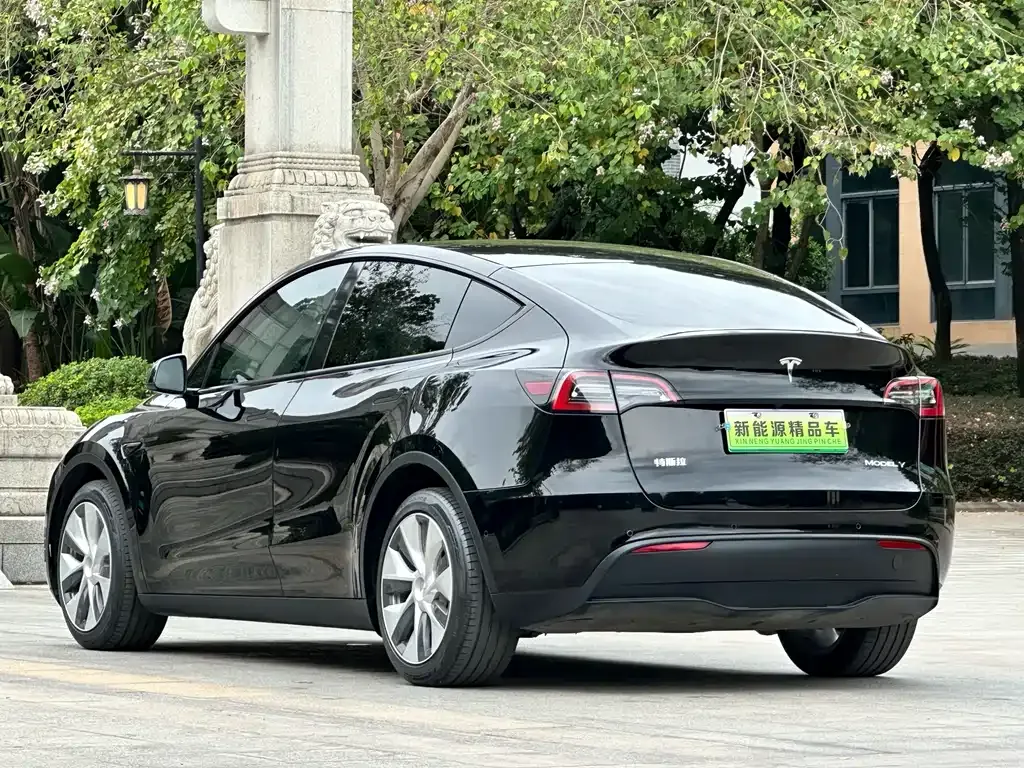 Tesla Model Y — фото 5