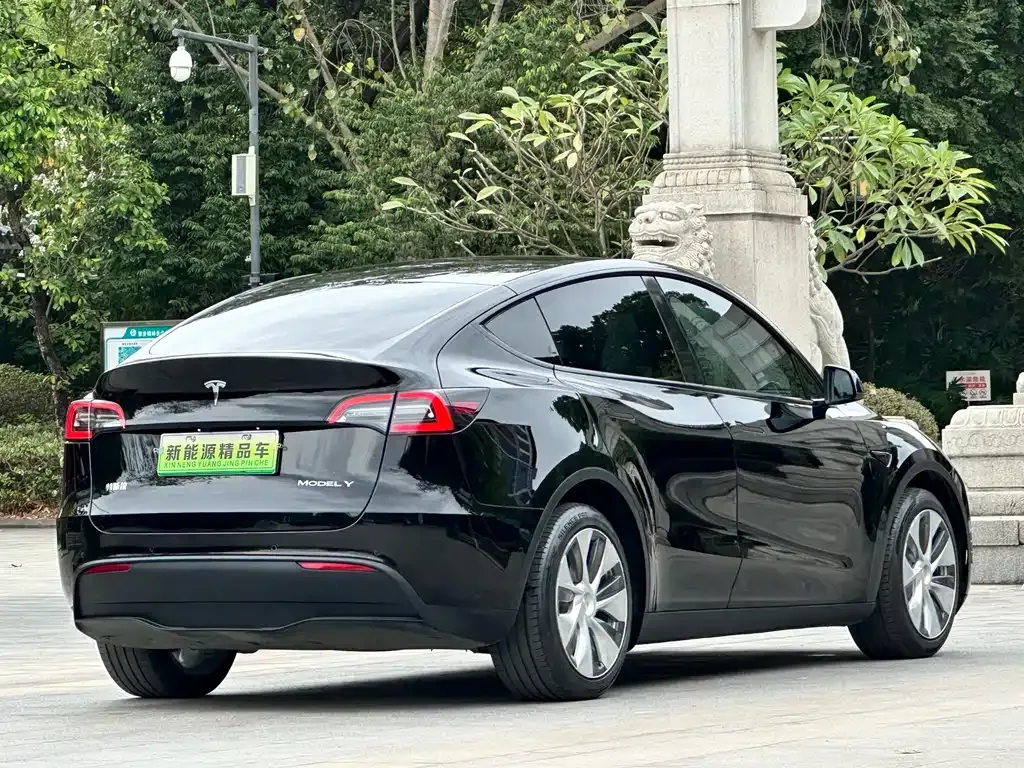 Tesla Model Y — фото 8