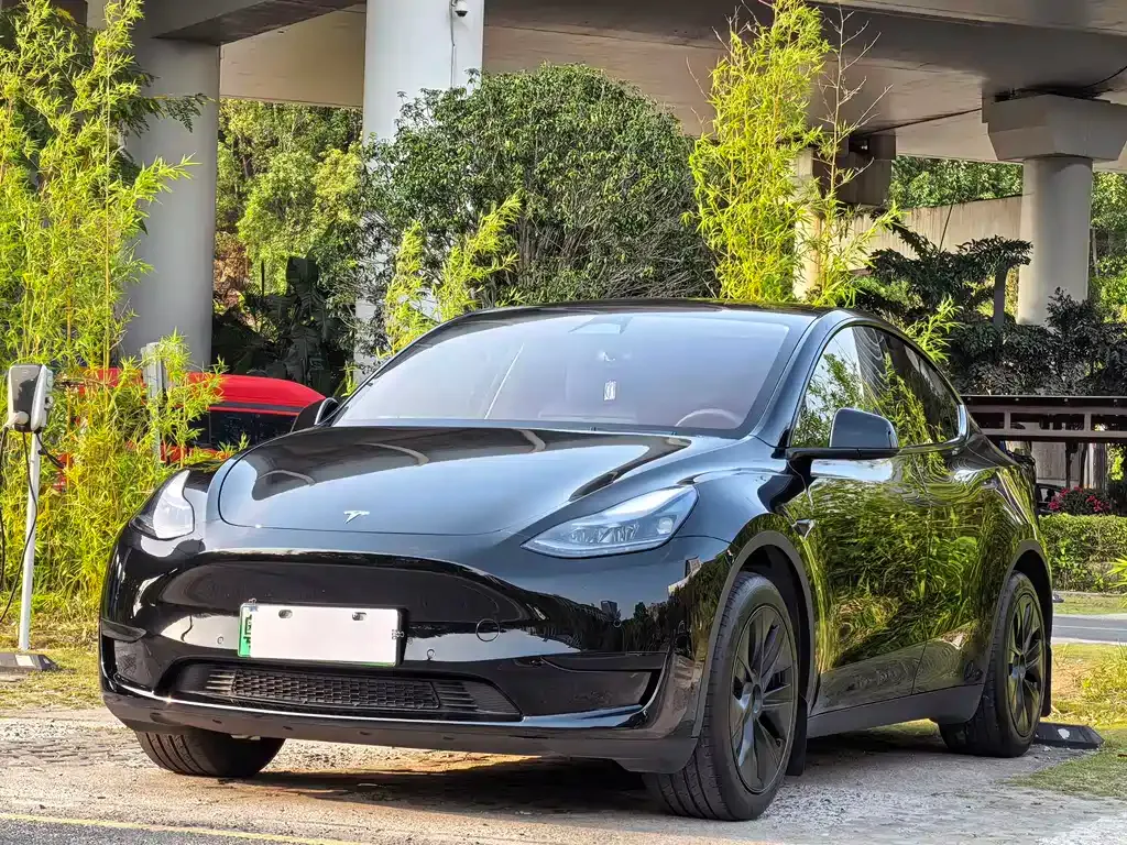 Tesla Model Y — фото 1