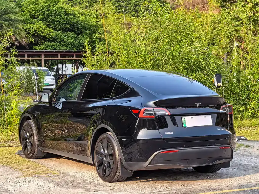 Tesla Model Y — фото 7