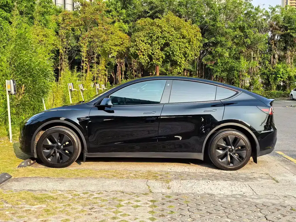 Tesla Model Y — фото 10