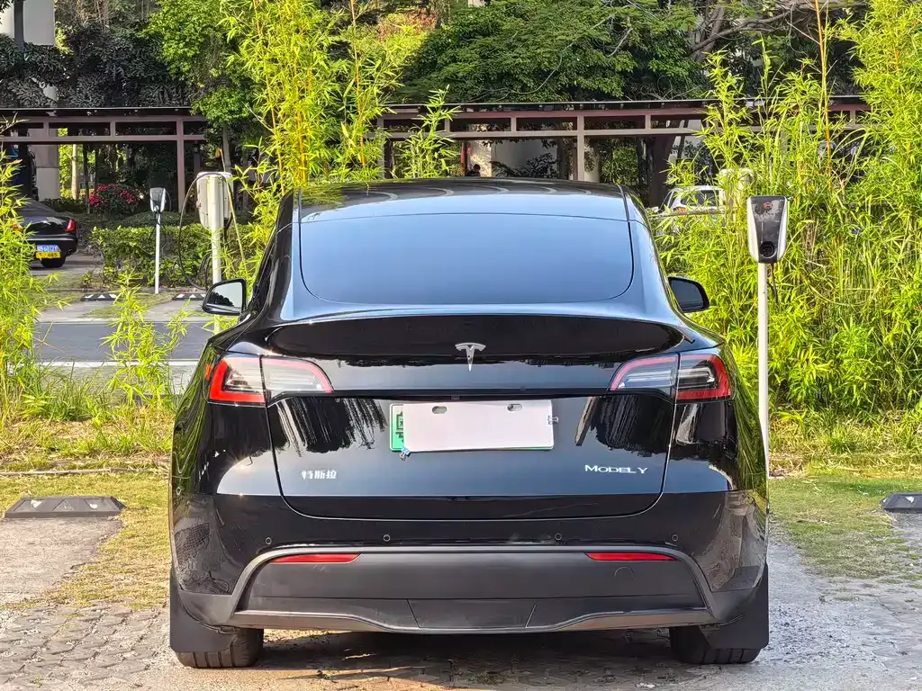 Tesla Model Y — фото 8