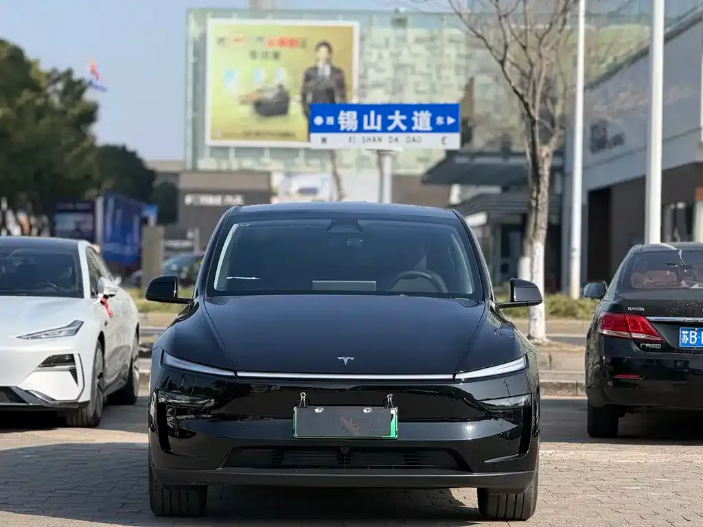 Tesla Model Y 2025 из CN, фото 9