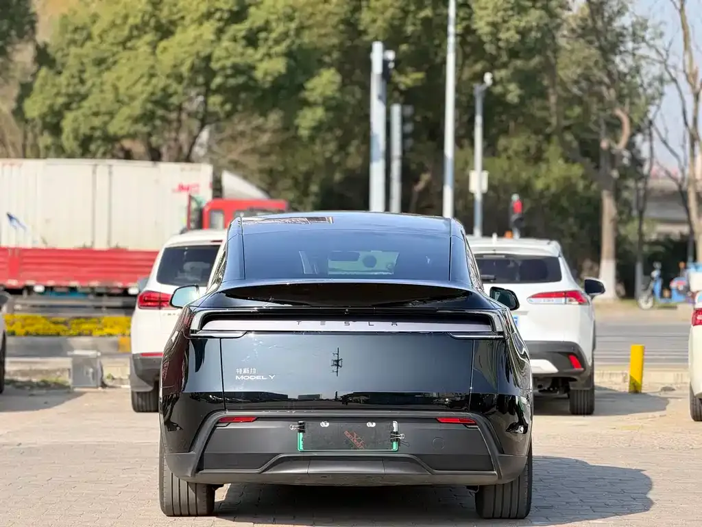 Tesla Model Y 2025 из CN, фото 10