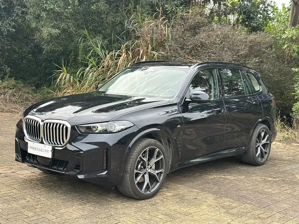 BMW X5 — фото 1