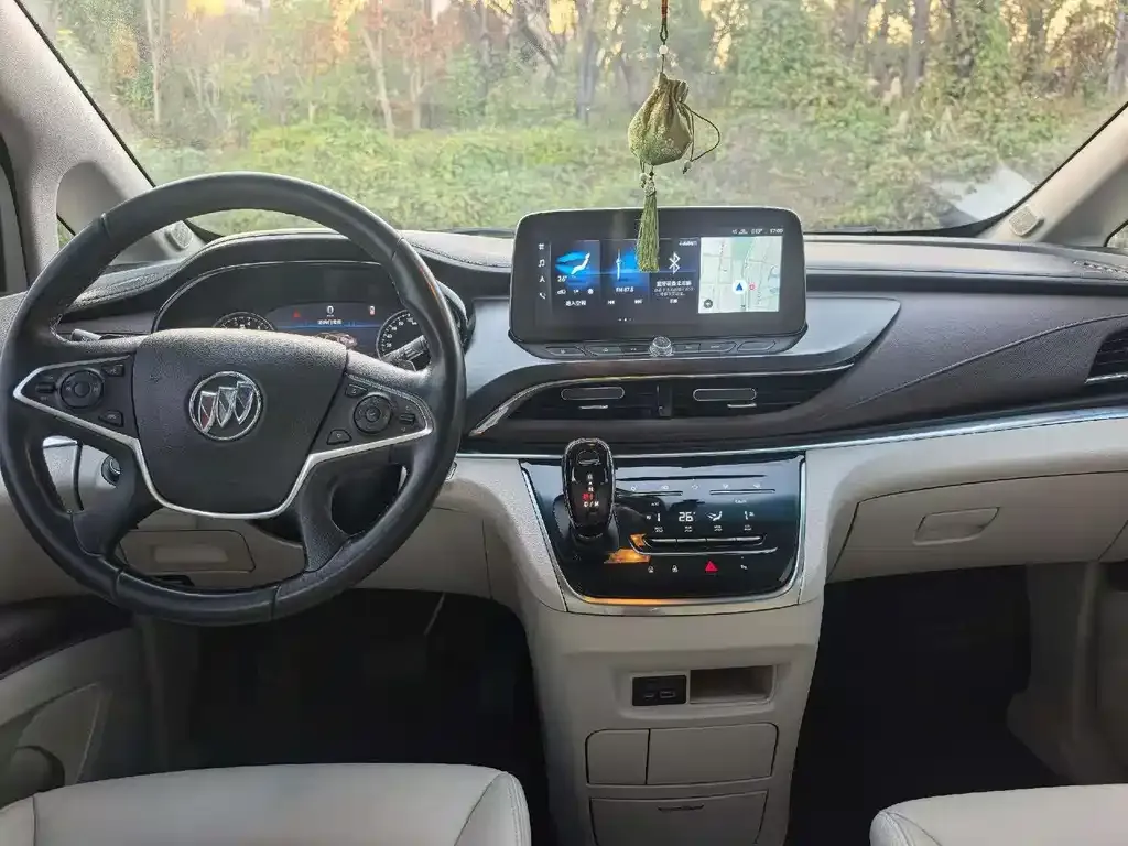 Buick GL8 2021 из CN, фото 3