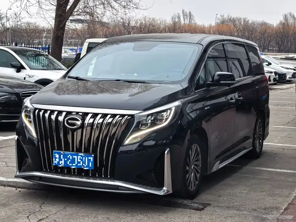 GAC Motor Trumpchi M8 2021 из CN, фото 1