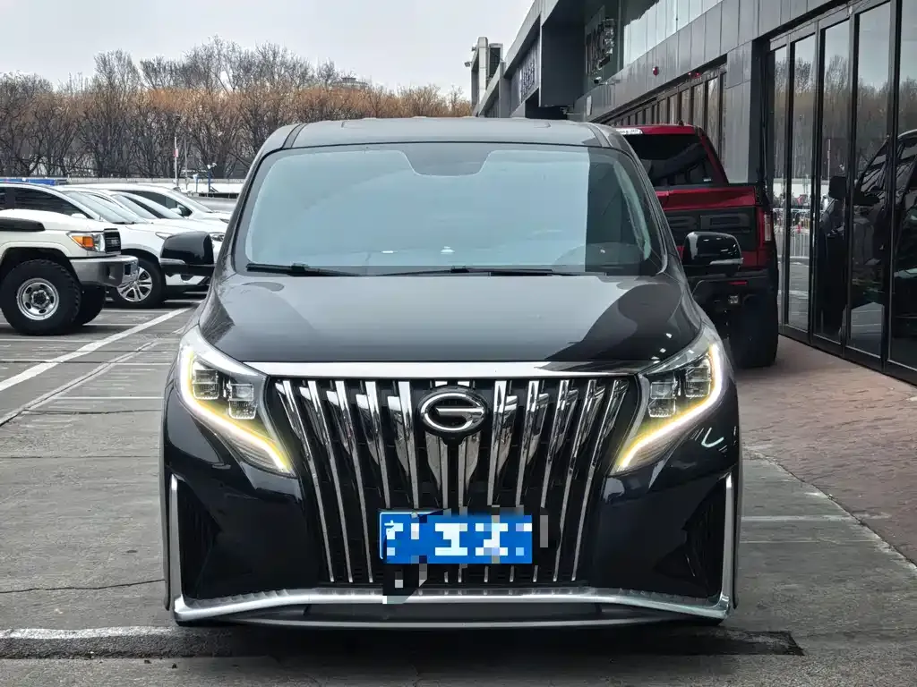 GAC Motor Trumpchi M8 2021 из CN, фото 2