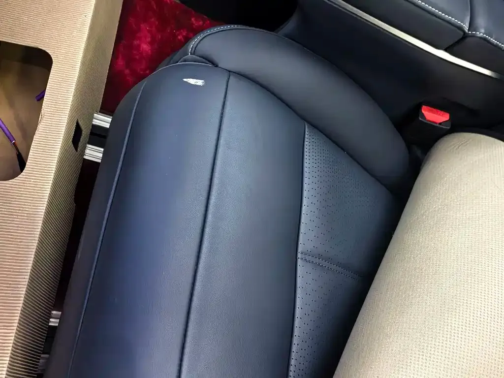 GAC Motor Trumpchi M8 2021 из CN, фото 9