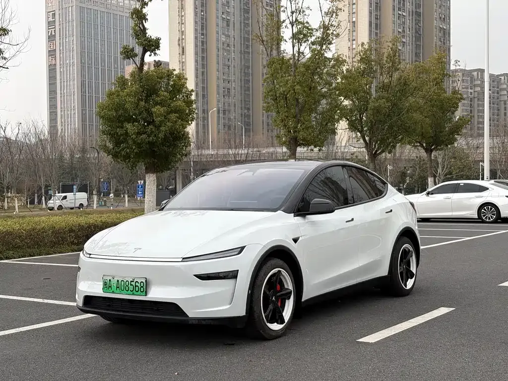 Tesla Model Y — фото 1