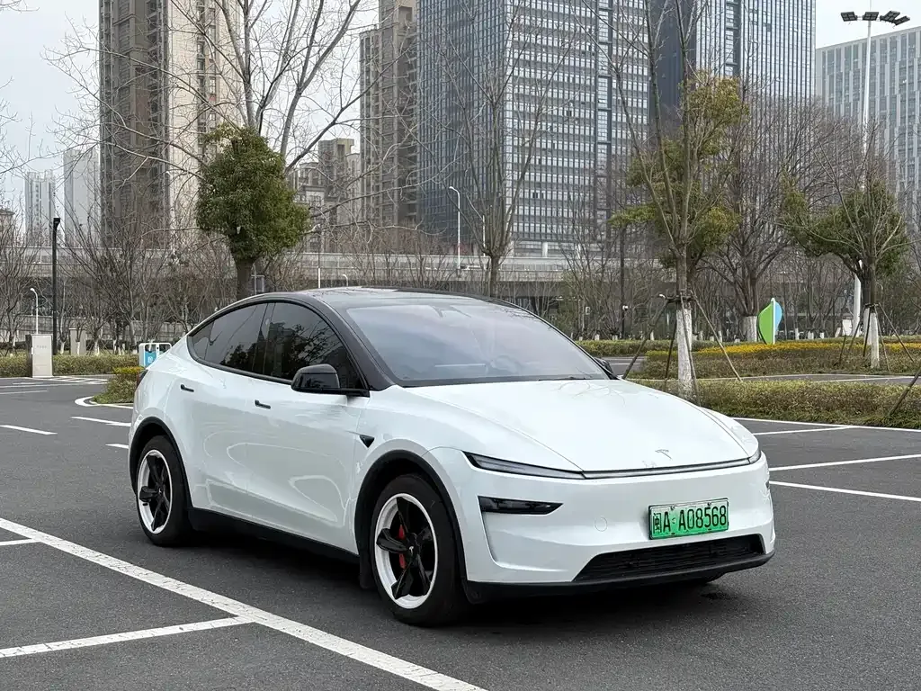 Tesla Model Y — фото 6