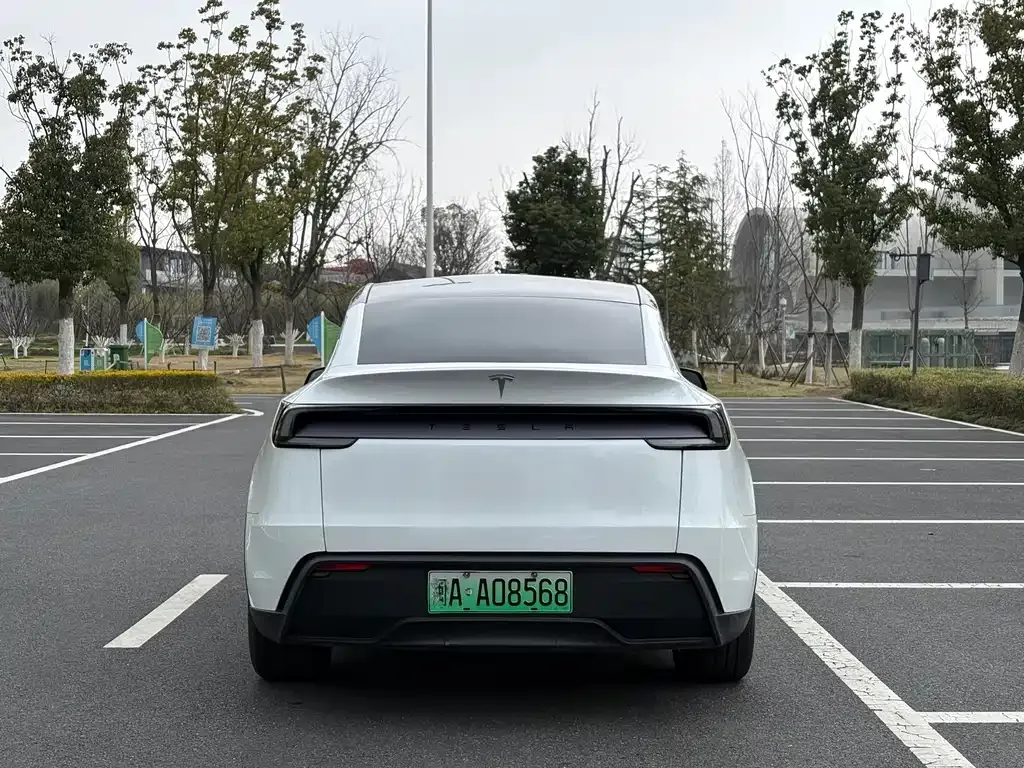 Tesla Model Y — фото 10
