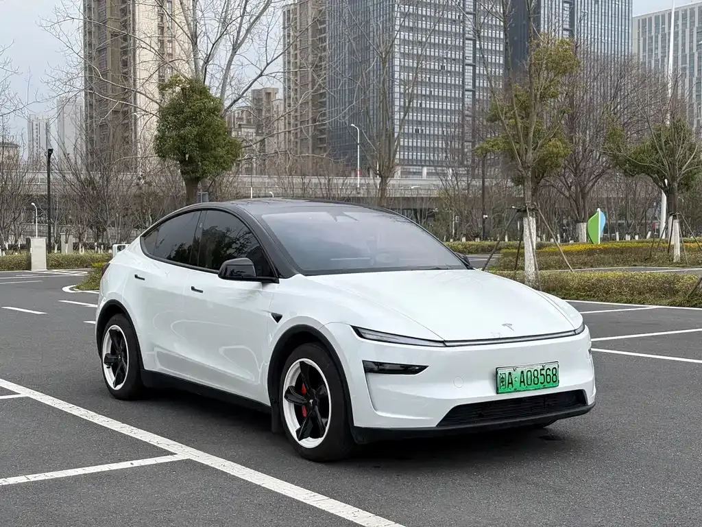 Tesla Model Y — фото 3