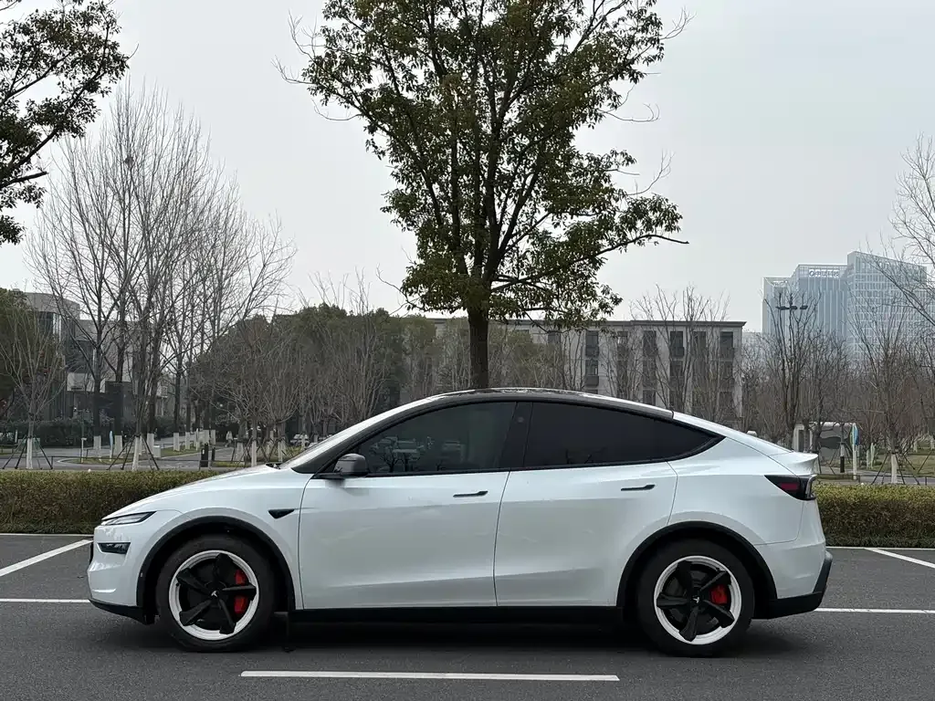 Tesla Model Y — фото 8