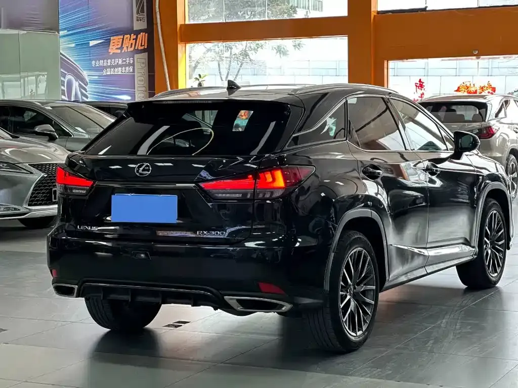 Lexus RX 2021 из CN, фото 9