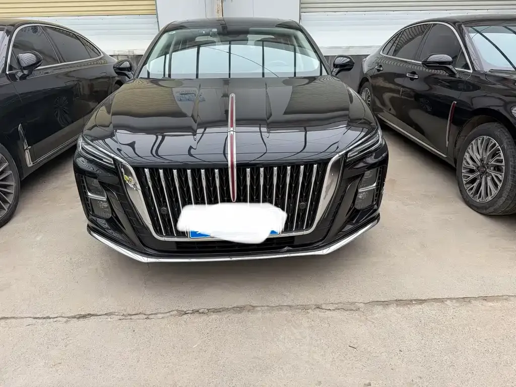 Hongqi H5 2024 из CN, фото 6