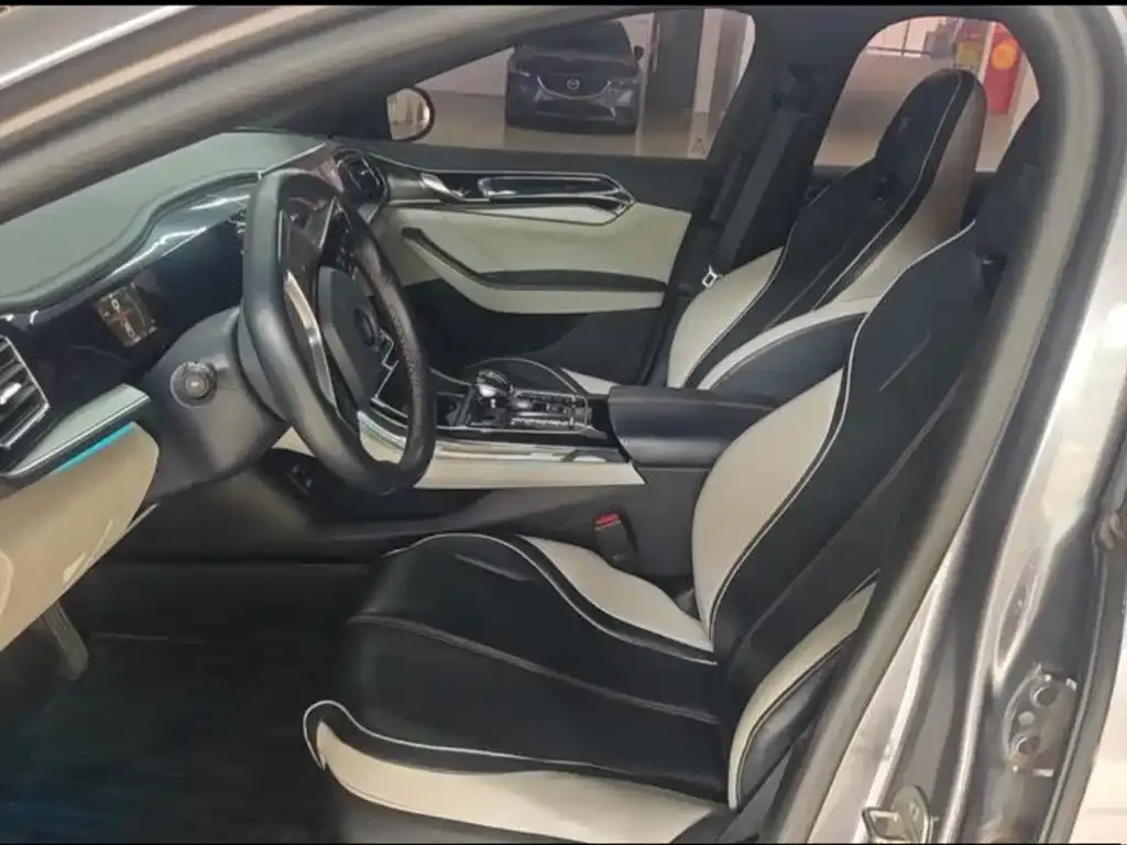 BYD Qin PLUS 2022 из CN, фото 4