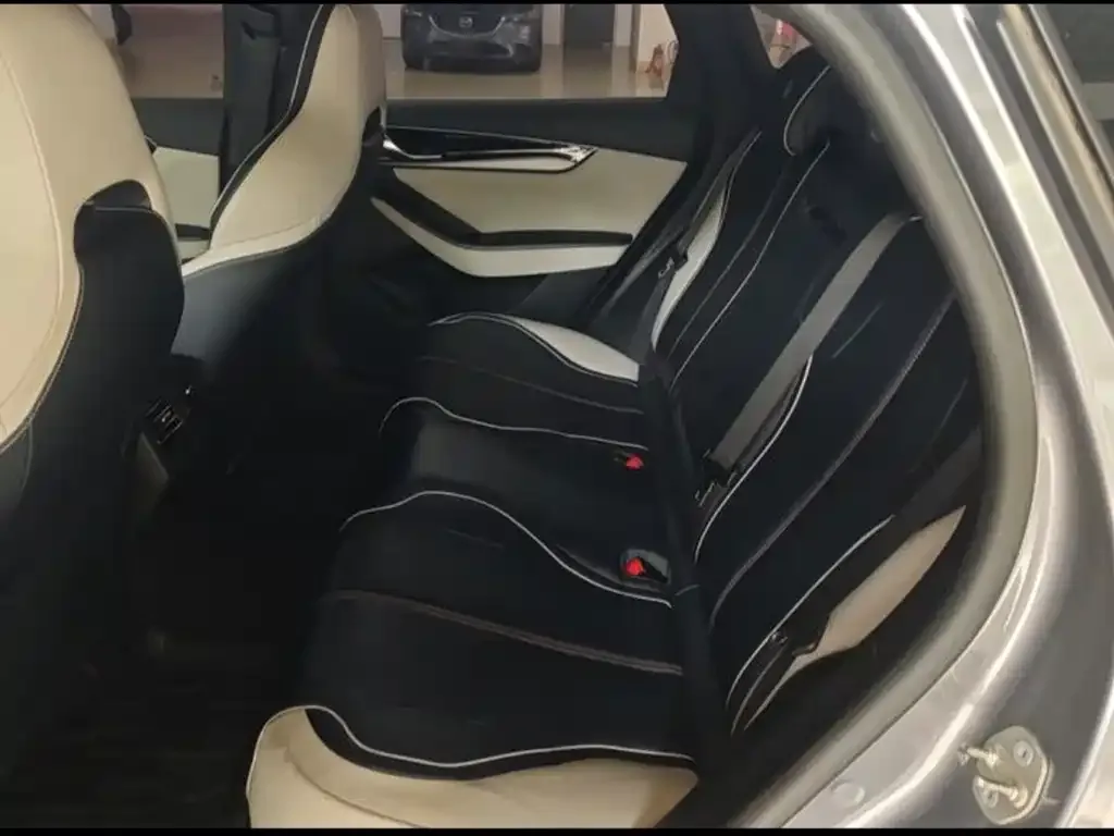 BYD Qin PLUS 2022 из CN, фото 2