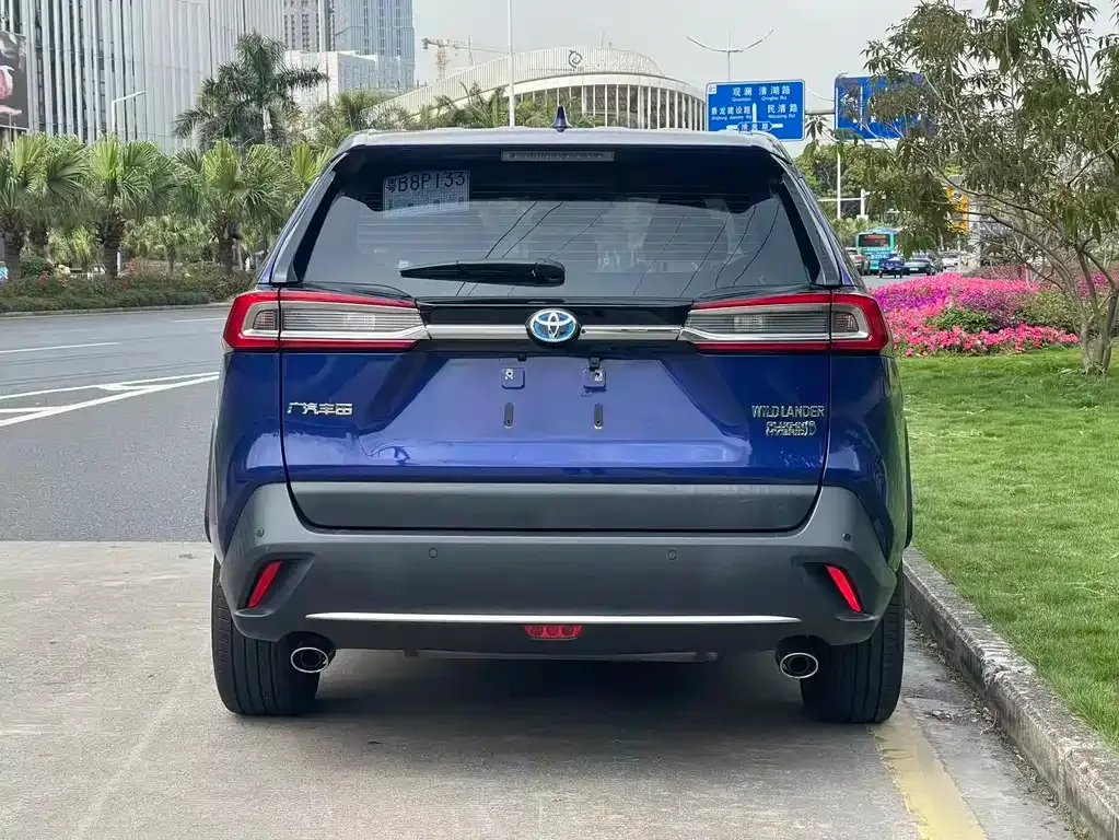 Toyota Wildlander New Energy 2022 из CN, фото 4