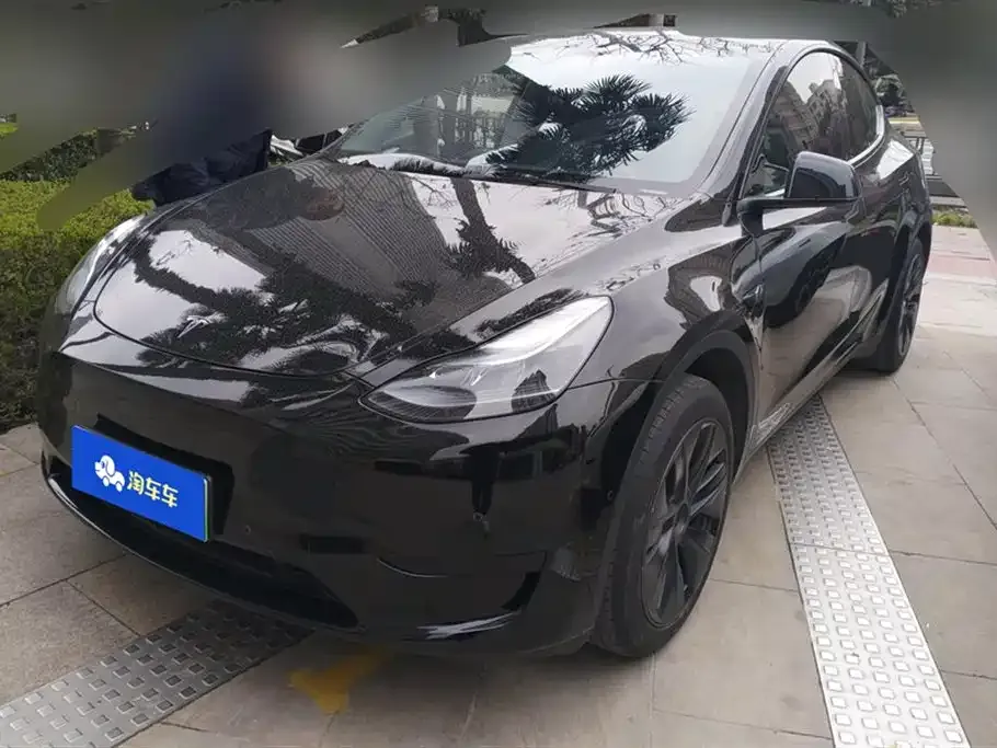 Tesla Model Y — фото 1