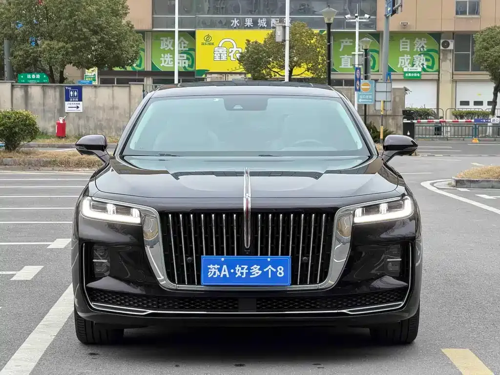 Hongqi H9 2021 из CN, фото 6