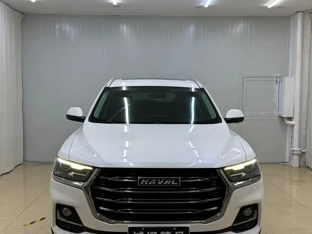 Haval H6 2022 из CN, фото 4
