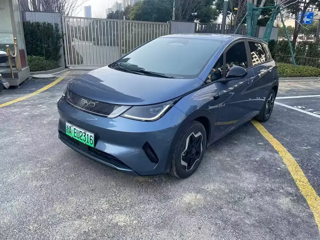 BYD Dolphin 2025 из CN, фото 1