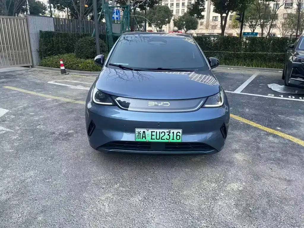 BYD Dolphin 2025 из CN, фото 5