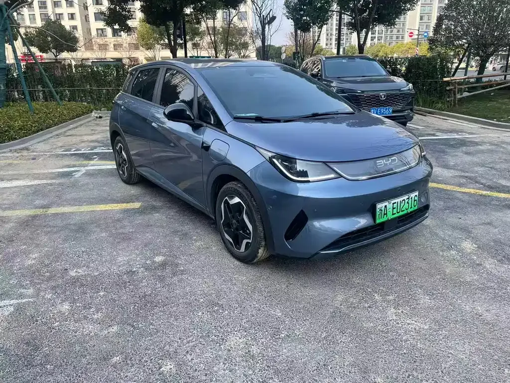 BYD Dolphin 2025 из CN, фото 6