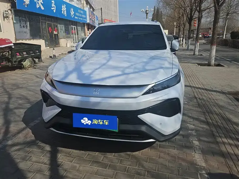 BYD Pro New Energy 2025 из CN, фото 2