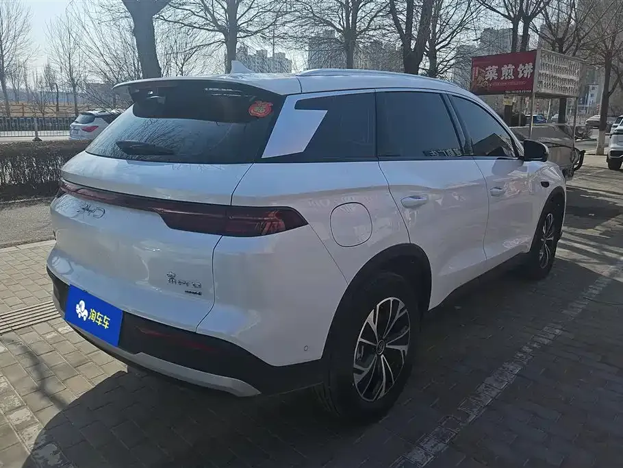 BYD Pro New Energy 2025 из CN, фото 4