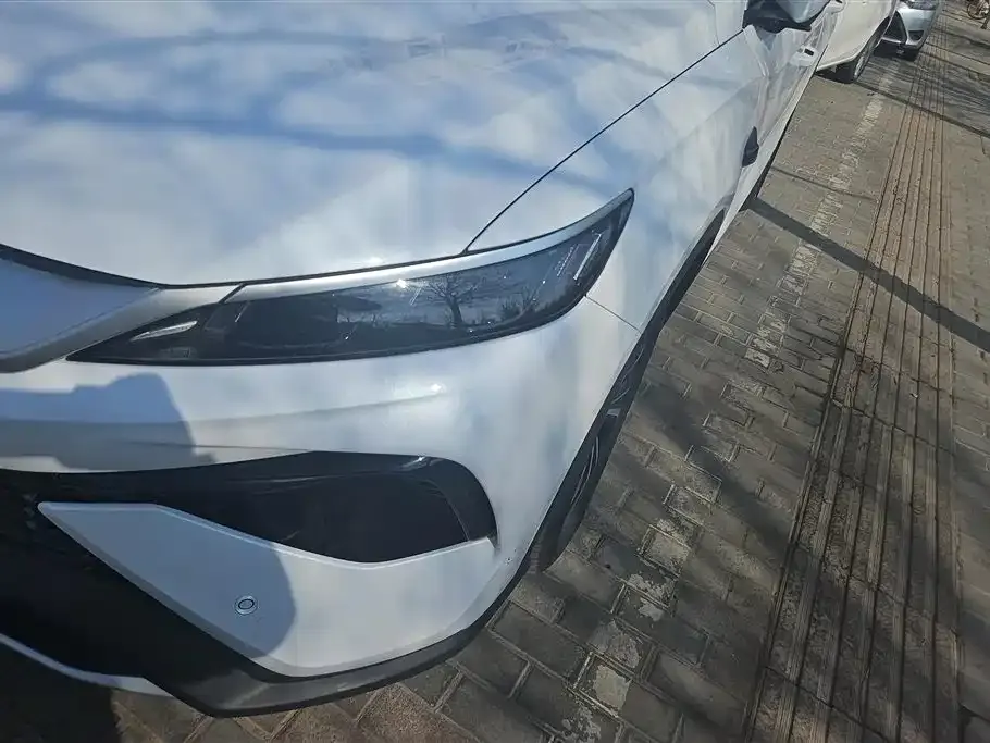 BYD Pro New Energy 2025 из CN, фото 5