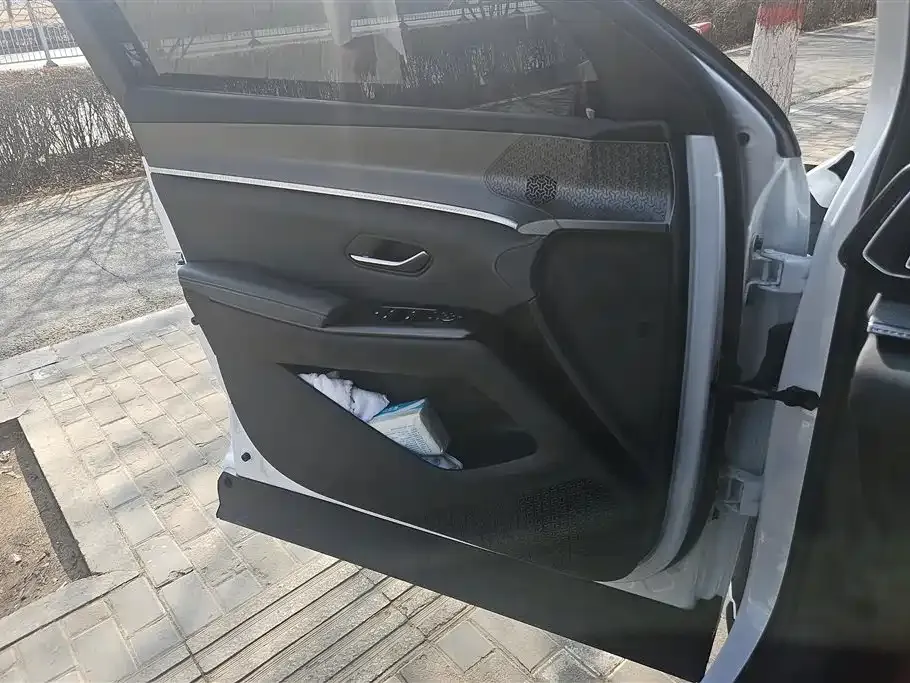 BYD Pro New Energy 2025 из CN, фото 8