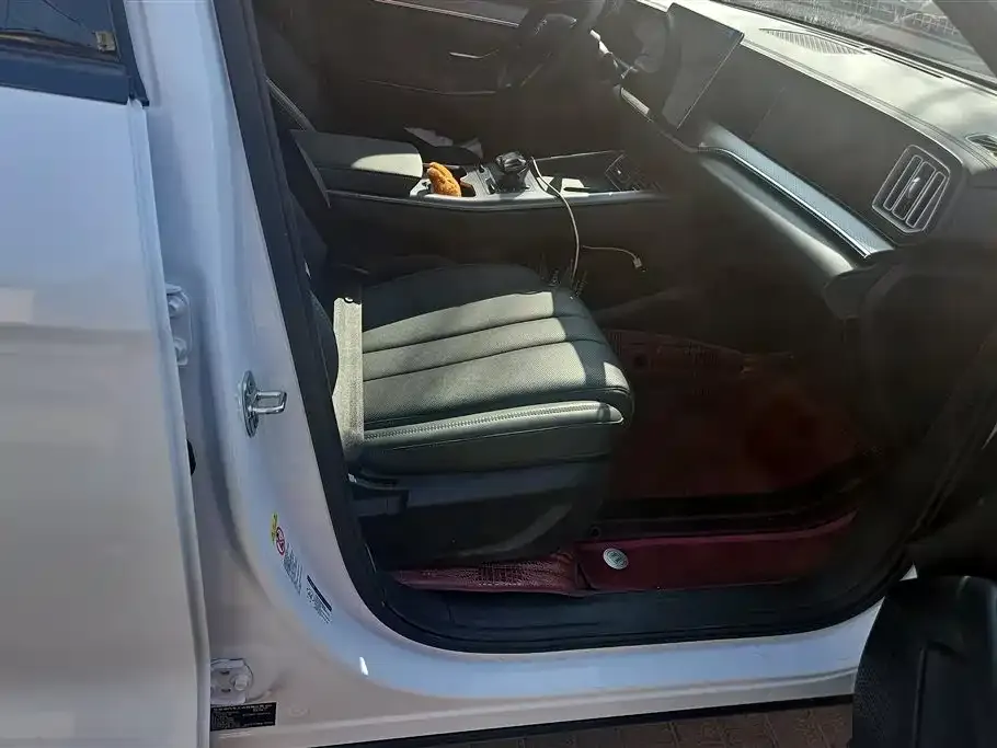 BYD Pro New Energy 2025 из CN, фото 6