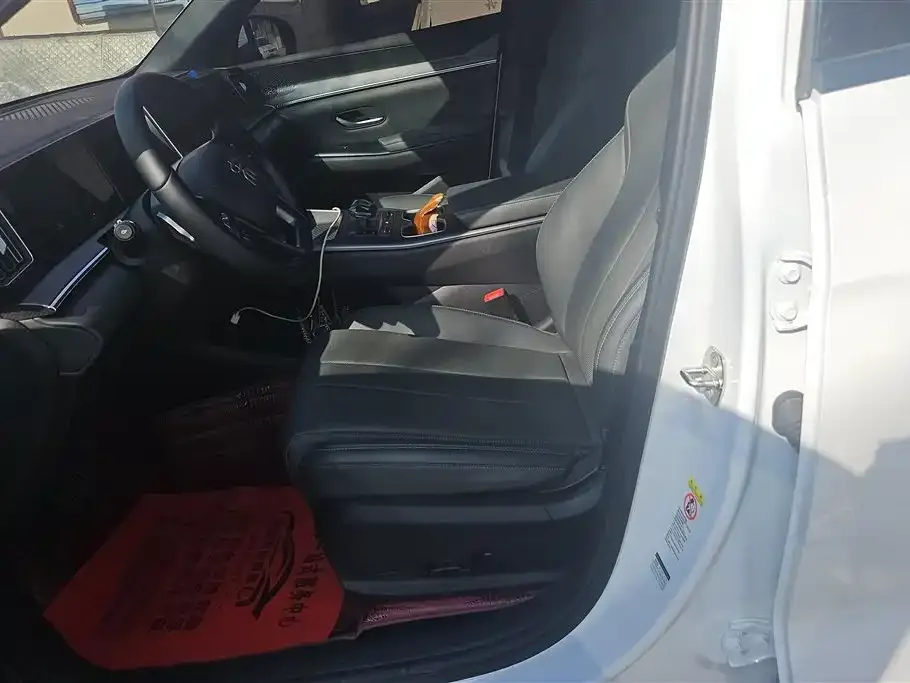 BYD Pro New Energy 2025 из CN, фото 7