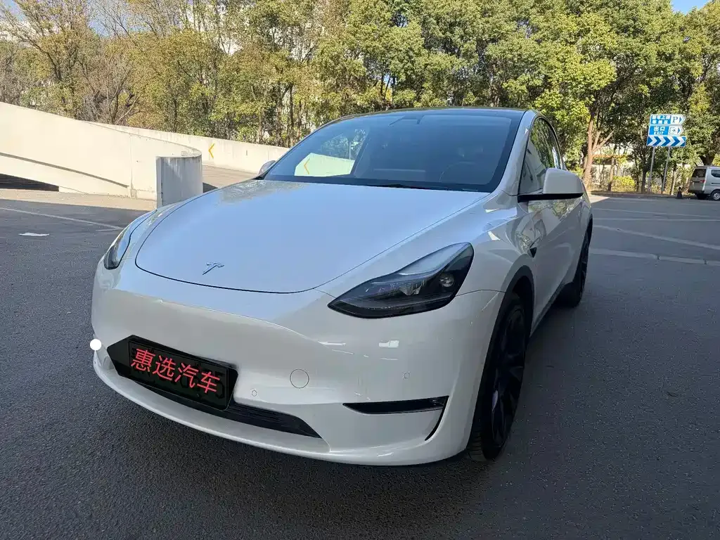 Tesla Model Y 2021 из CN, фото 1