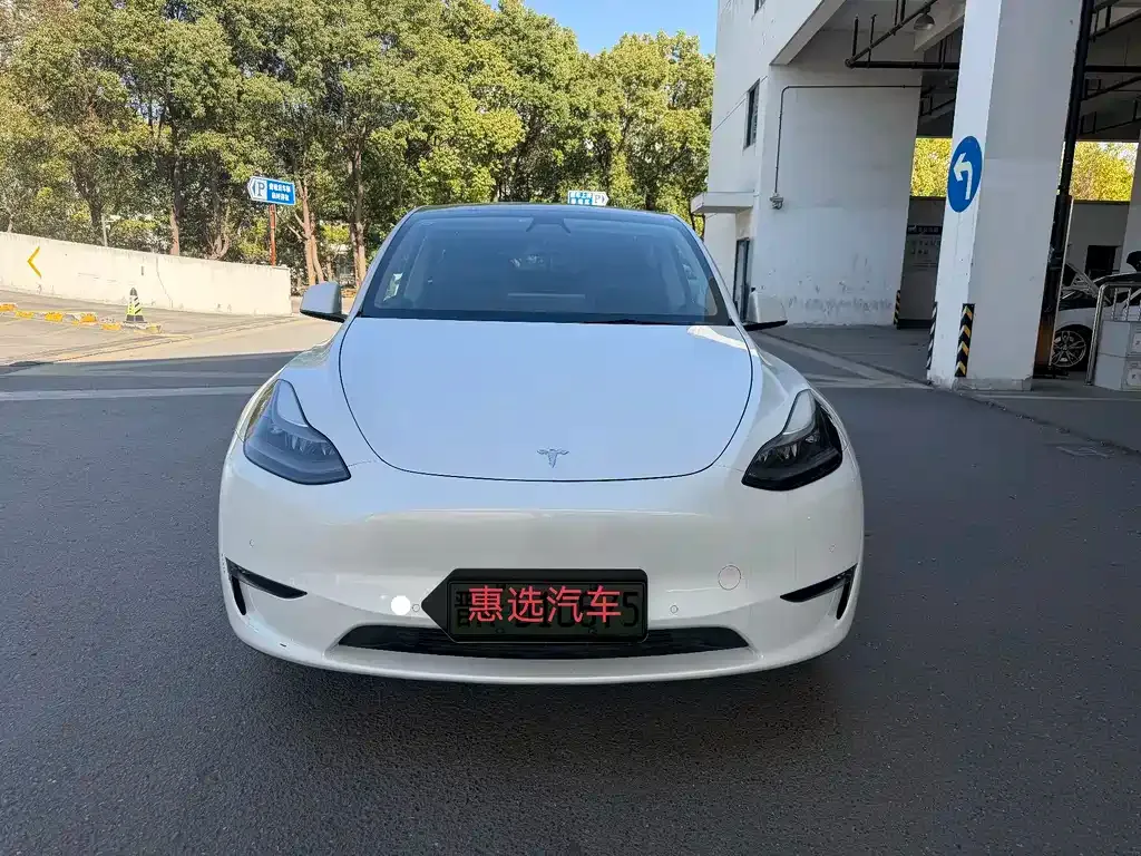 Tesla Model Y 2021 из CN, фото 6