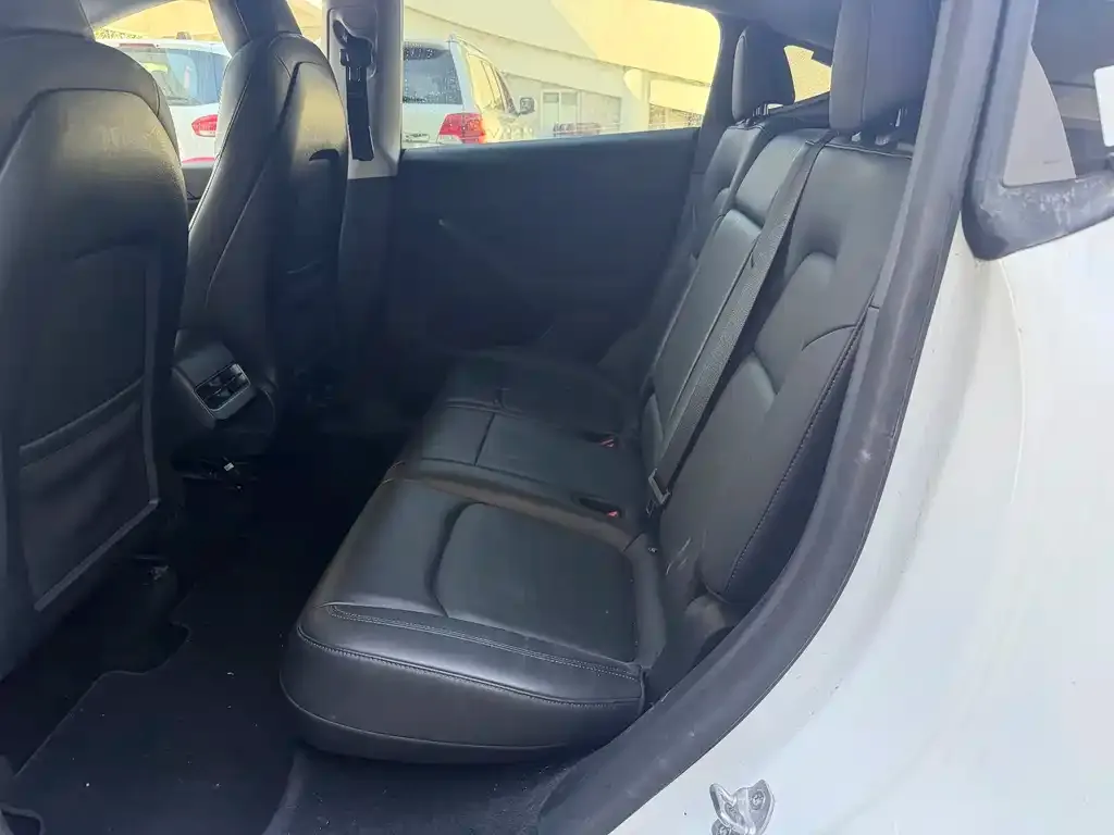 Tesla Model Y 2021 из CN, фото 3