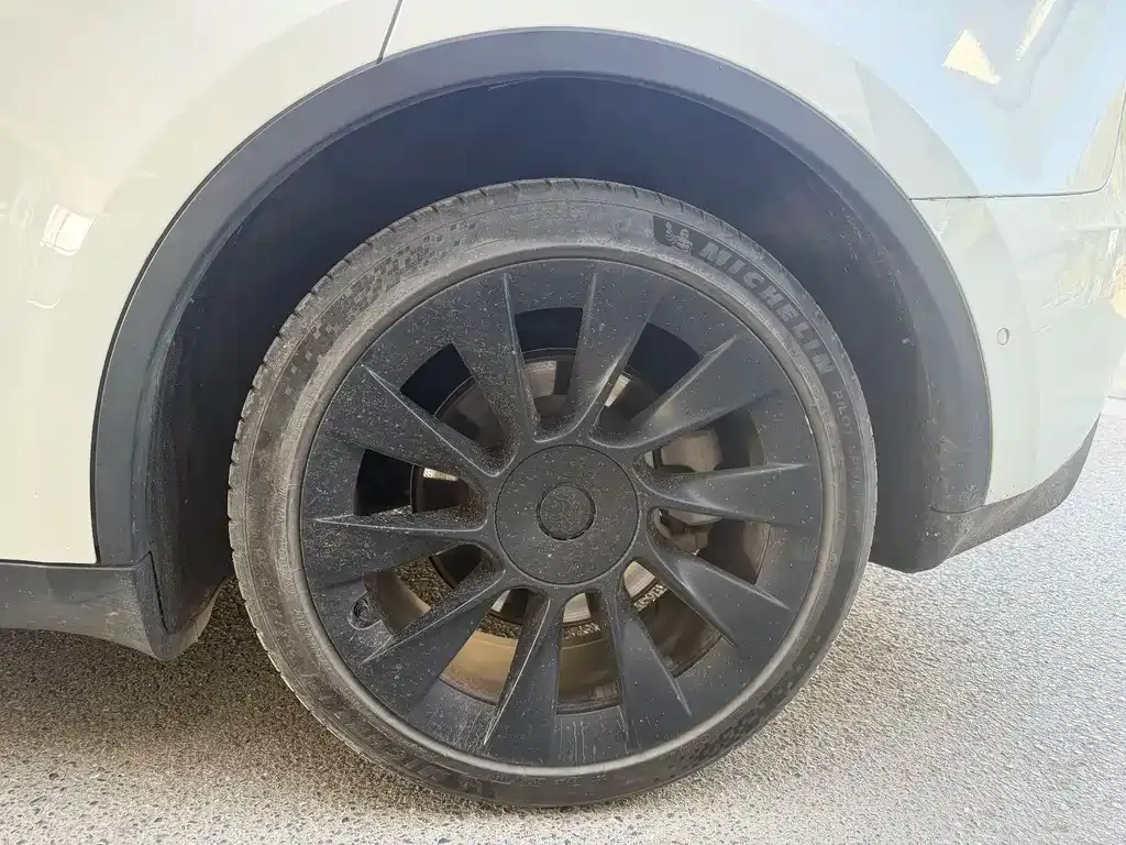 Tesla Model Y 2021 из CN, фото 7
