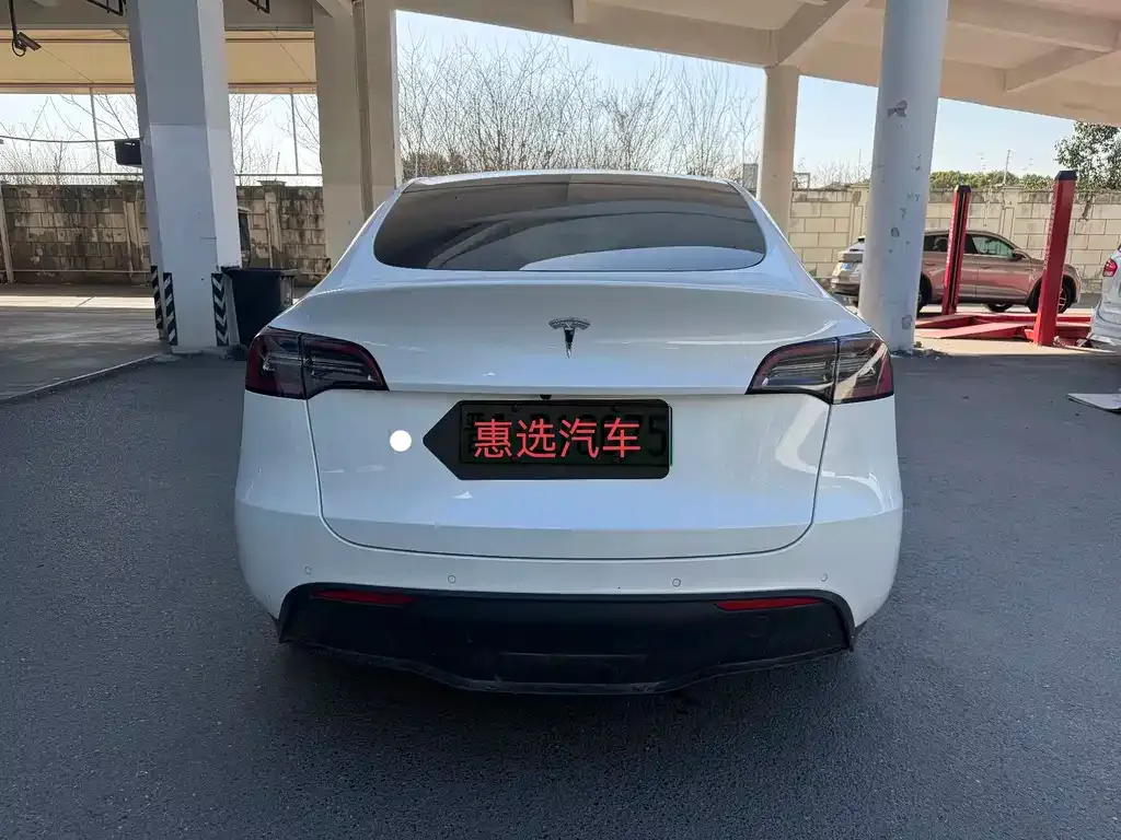 Tesla Model Y 2021 из CN, фото 2