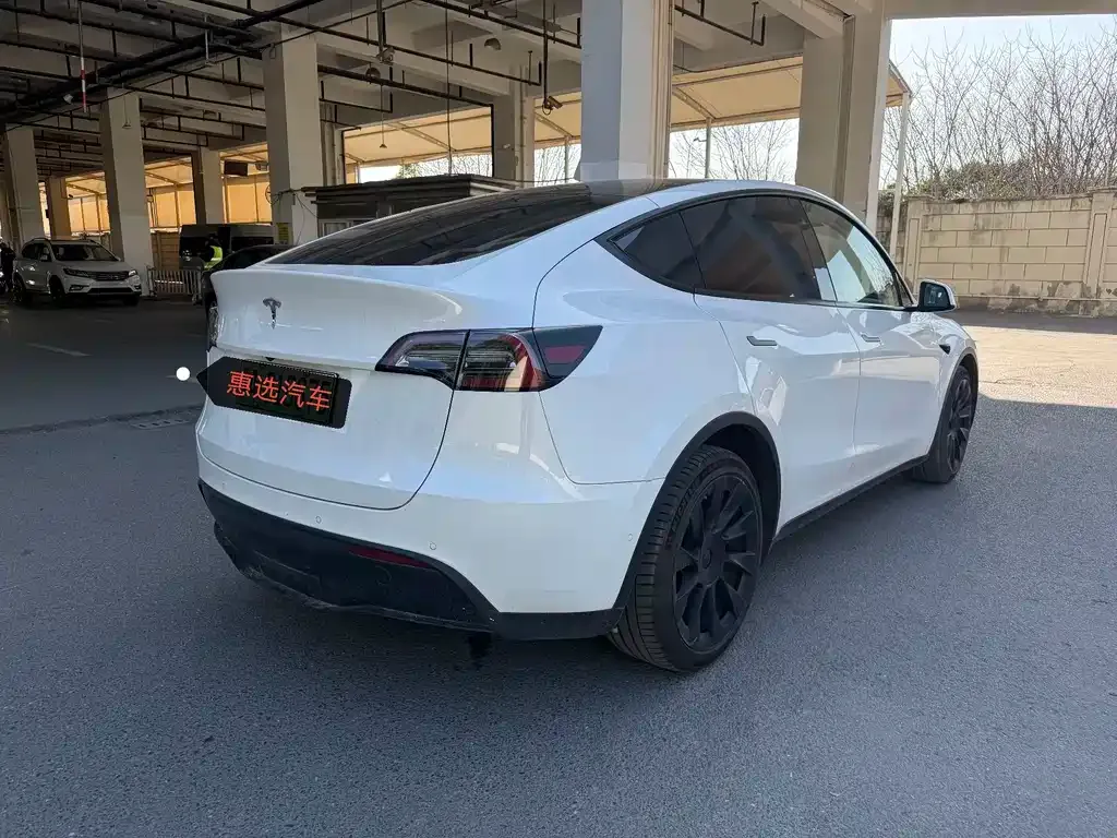 Tesla Model Y 2021 из CN, фото 4