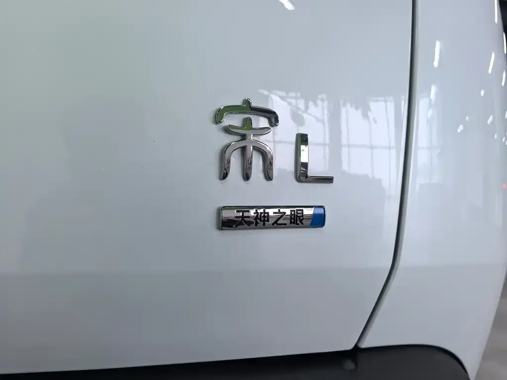 BYD L DM-i — фото 2