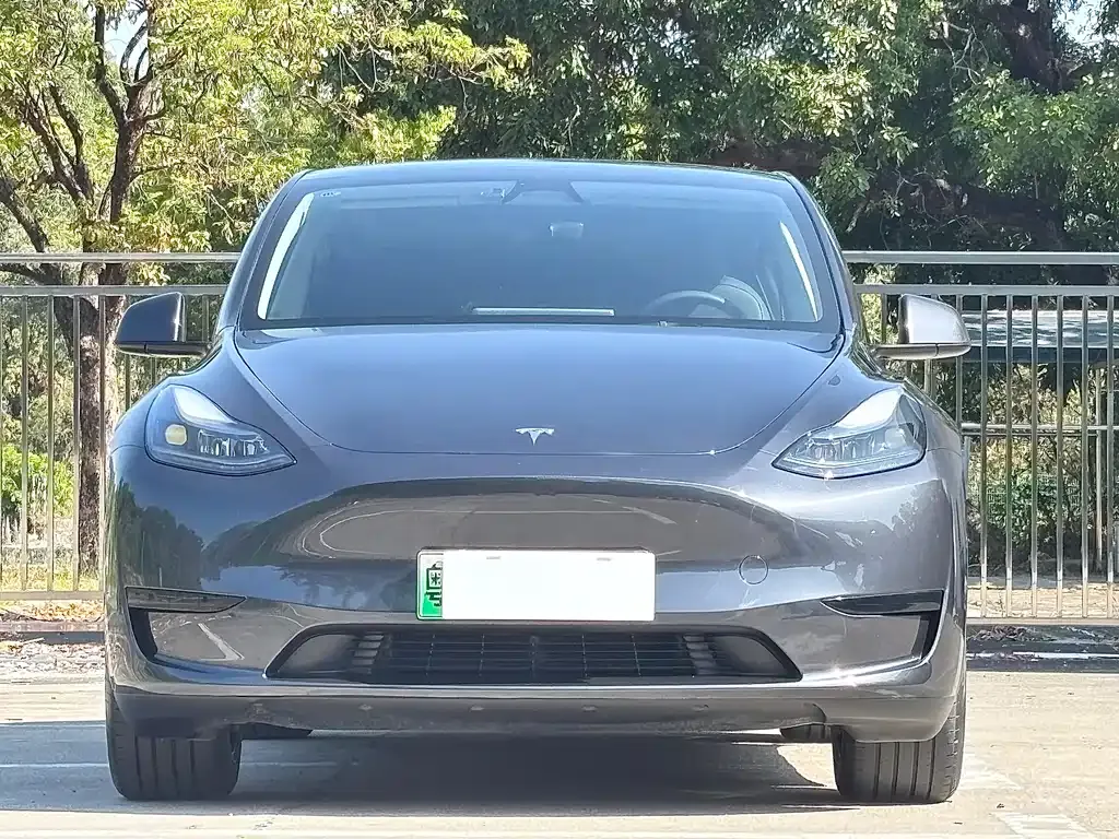 Tesla Model Y — фото 10